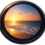 Down The Shore Field Guide Link